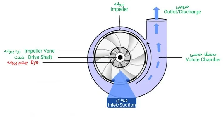 Eye چشم پروانه