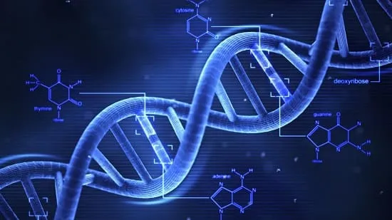 dna چیست