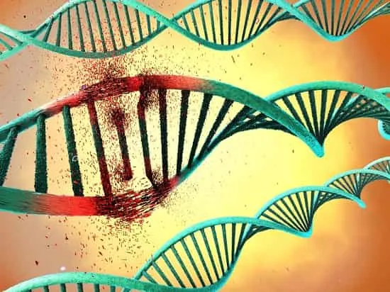 آسیب و جهش dna