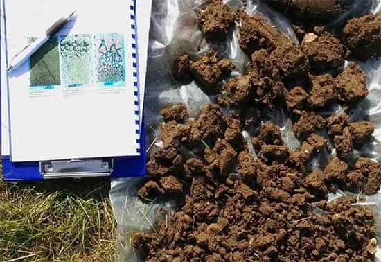 کاربرد مکانیک خاک چیست