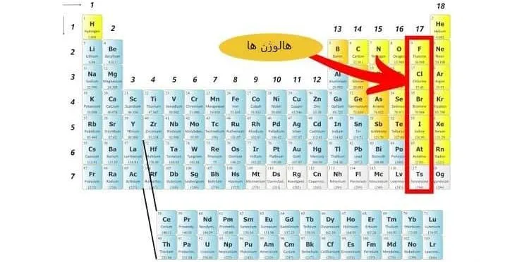 هالوژن ها در دسته بندی عنصرها