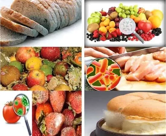 عوامل فساد مواد غذایی
