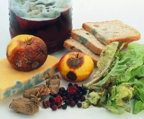 فساد مواد غذایی