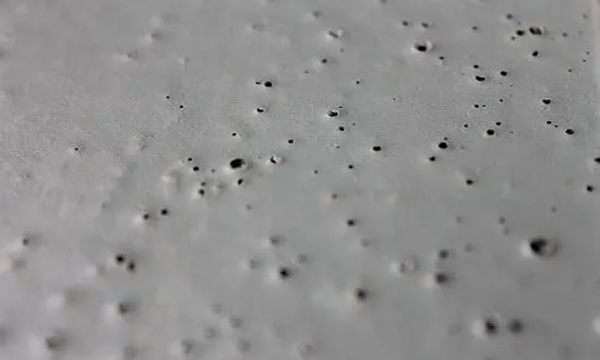 pine holes