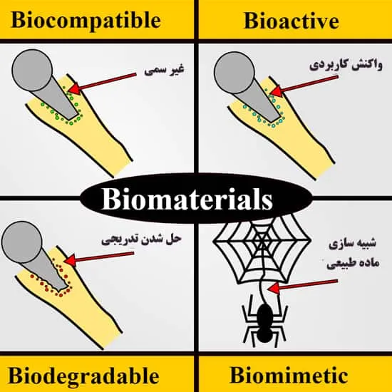 بایو مواد در علم مواد