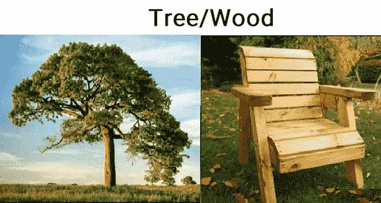 تفاوت ماده جاندار و غیر جاندار