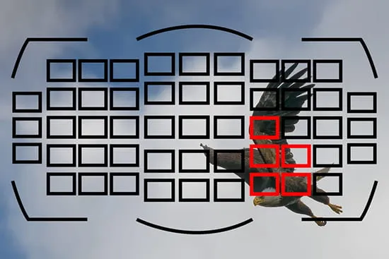فوکوس داینامیک دوربین