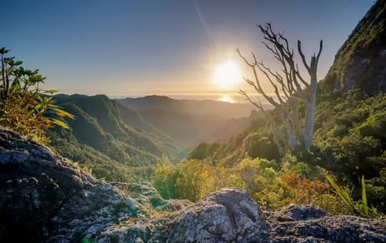 مشکلات رایج سیستم نور سنجی دوربین عکاسی