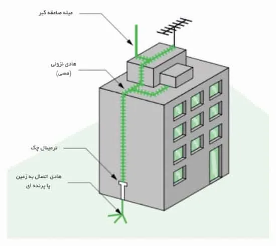 هادی نزولی