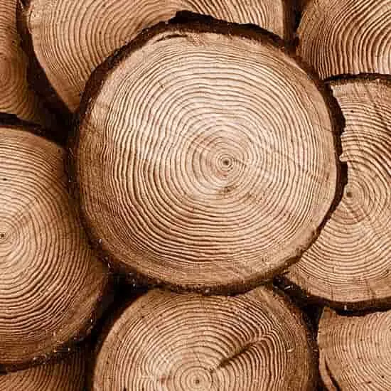 لوله بری چوب مناسب مقاطع استوانه ای