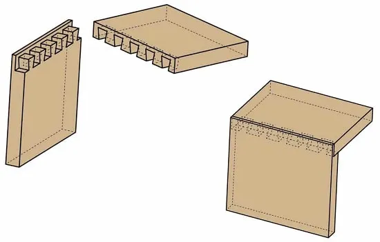 اتصال دم چلچله