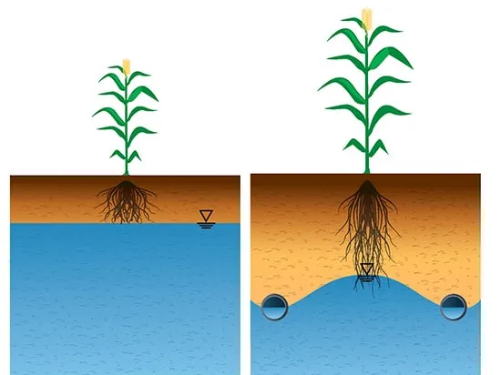 مزایای زهکشی کشاورزی چیست