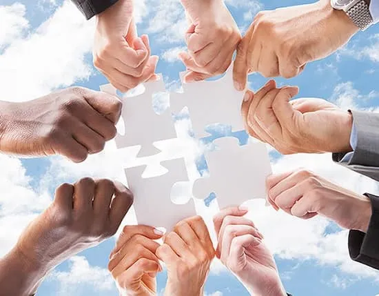 شرکای اصلی در بوم کانواس