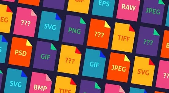 انواع فرمت فایل