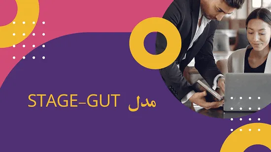 مدل استیج گات