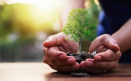 پیامدهای زیست محیطی