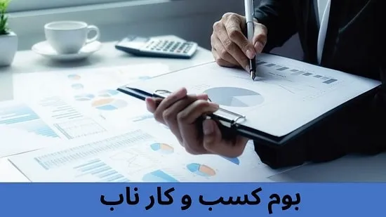 بوم کسب و کار ناب چیست؟