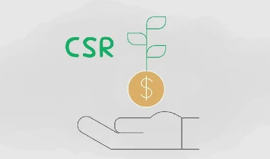 مسئولیت اقتصادی