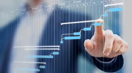 اهداف اقتصاد مهندسی