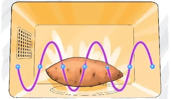 مایکروویو (Microwave)