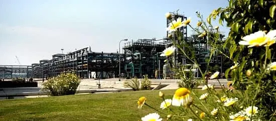 محصولات نهایی پتروشیمی