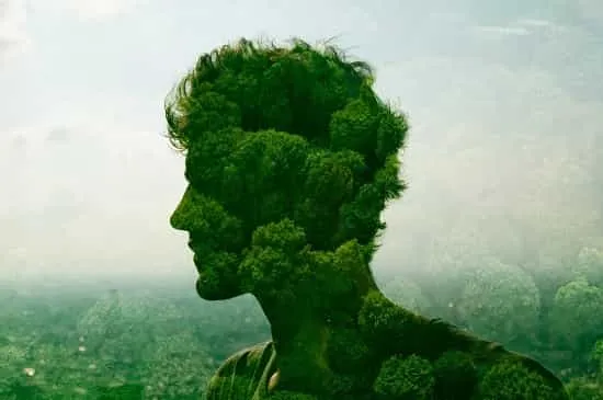 هوش طبیعت گرایانه
