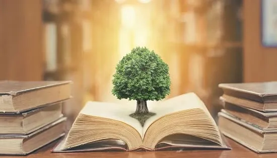 ایجاد فلسفه جدید از اصول دمینگ