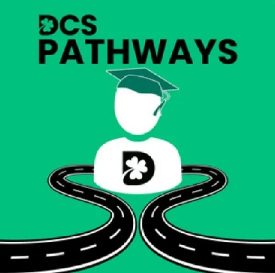 مسیر شغلی DCS
