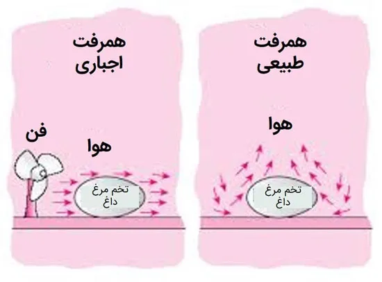 همرفت طبیعی و اجباری