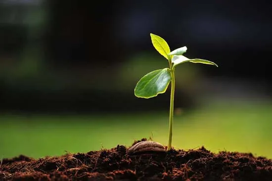 نفوذپذیری خاک