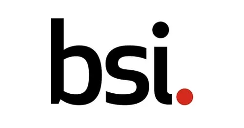 گروه تنظیم استاندارد bsi