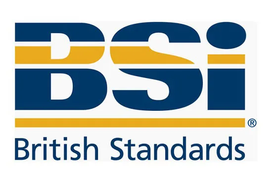 BS 6079