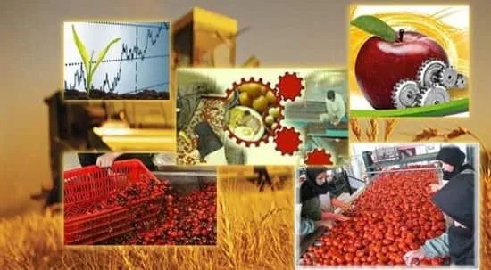 نیاز همیشگی جوامع به صنعت کشاورزی