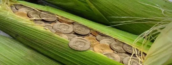 تاریخچه حسابداری سبز