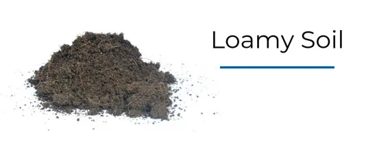خاک لومی