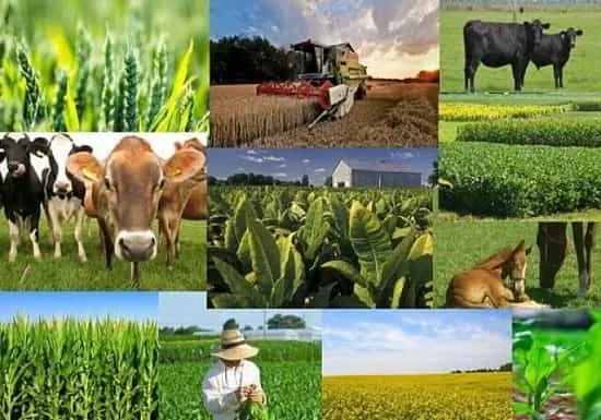 مواد اولیه و قطعات