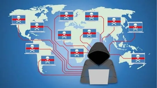 چند ربات در botnet وجود دارد