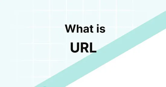 آدرس اینترنتی یا URL چیست