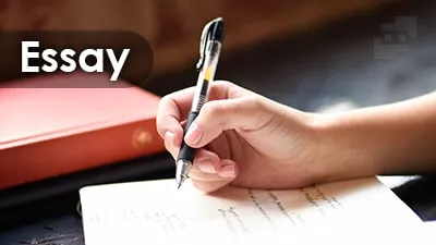 معرفی 3 بخش اصلی Essay