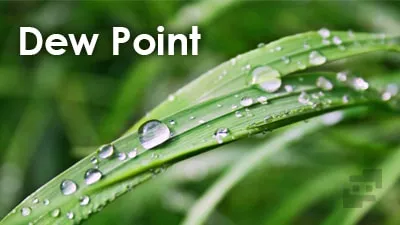 نقطه شبنم (Dew Point) چیست و چه کاربردی دارد؟