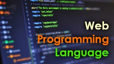 برنامه نویسی وب چیست؟ (فرانت اند و بک اند)