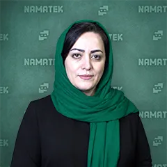 مینا بیگ